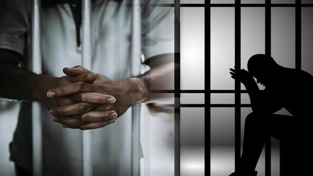 تأييد حبس متهم بسرقة جهاز DVR من داخل كمبوند بمدينة أكتوبر 3 أشهر